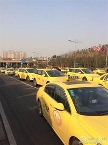 纳雍出租车爆料案件最新,真相浮出水面，警方全力追查